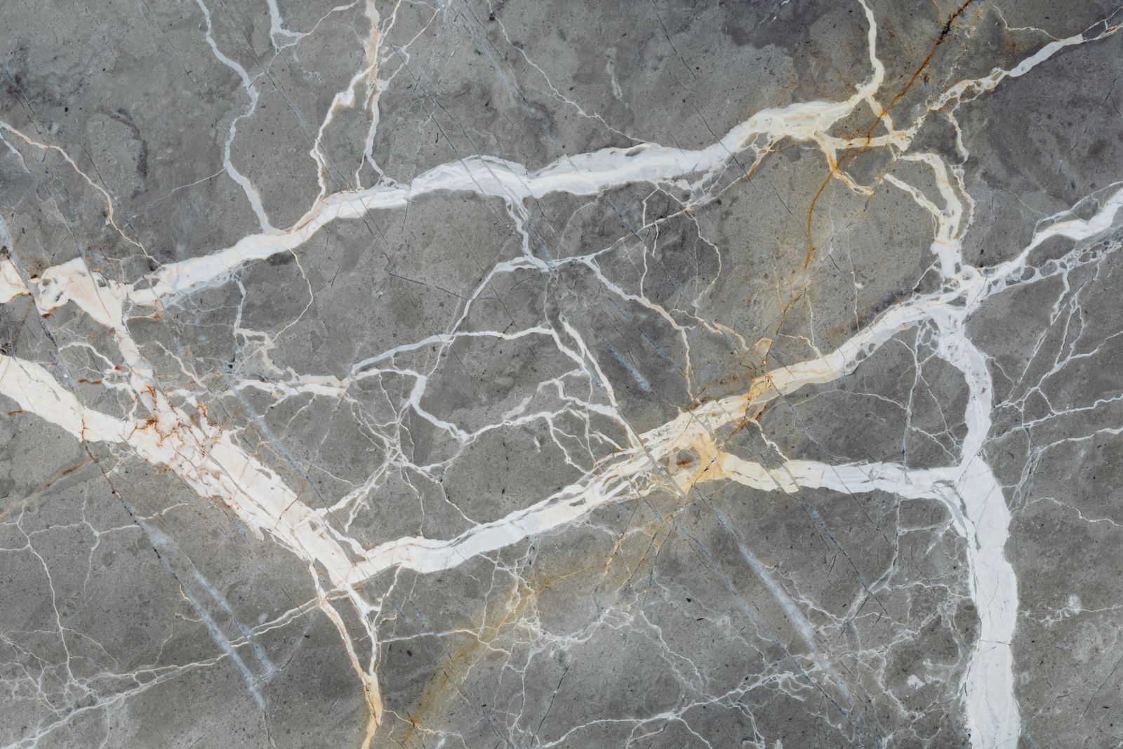 Crema Marfil limestone surface. Warm cream, fossil flecks, Mohs 3 to 4.